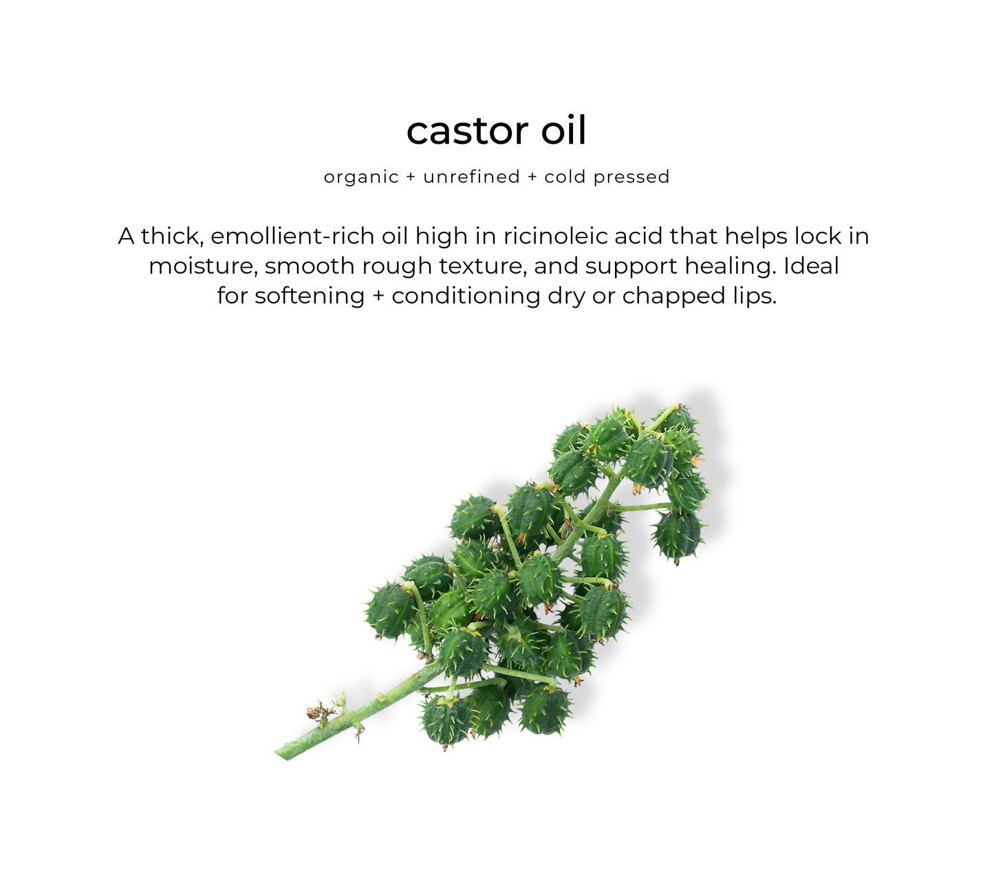 Glossberry lush lip oil