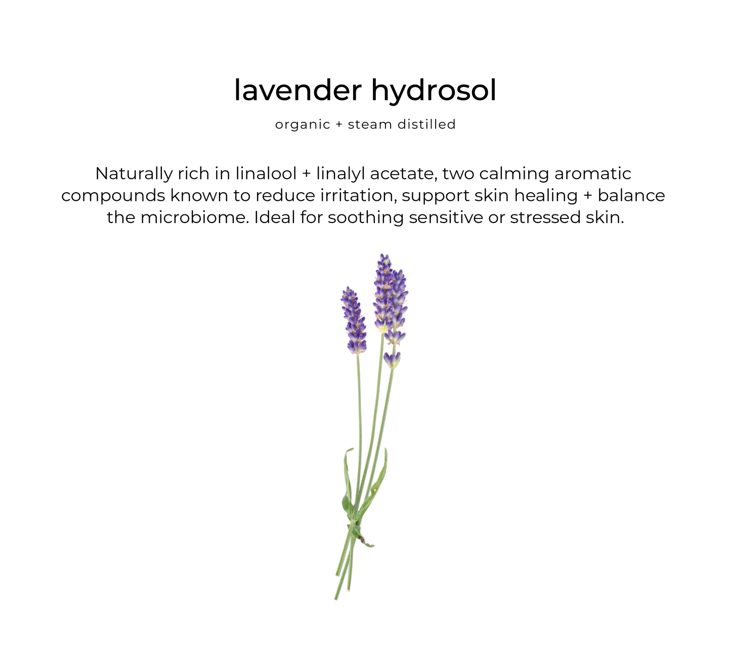 Habitual hydrator